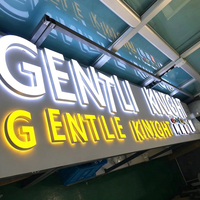 Enseignes lumineuses LED personnalisées pour entreprises, signalétique 3D, lettres en relief métalliques personnalisables, éclairées par l'avant et rétroéclairées