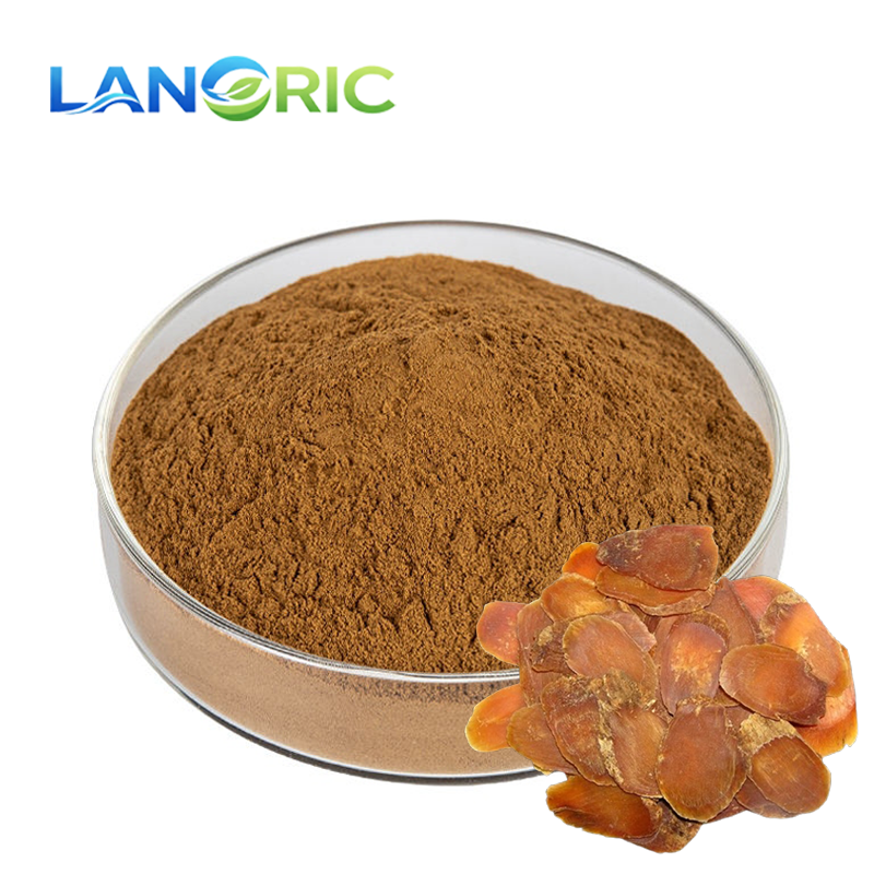 100% Pure Natural Panax Ginseng Extract 5%-80% Ginsenosides Korean Red Ginseng Root Extract Gold Korean Red Ginseng Powder