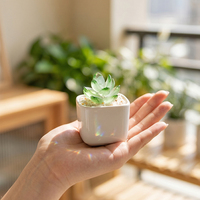 Figurine de plante succulente en verre de Murano soufflé à la main, mignonne, pour cadeau d'inauguration de maison ou décoration de bureau