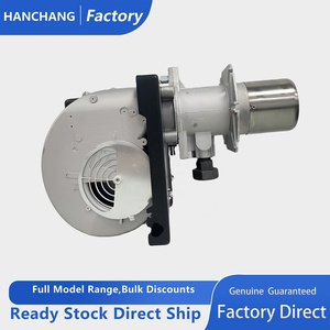 Pièces de chaudière <span class=keywords><strong>à</strong></span> gaz en gros directement de l'usine FS5 FS10 FS20 Marque domestique <span class=keywords><strong>à</strong></span> <span class=keywords><strong>prix</strong></span> avantageux <span class=keywords><strong>pour</strong></span> remplacer les brûleurs <span class=keywords><strong>à</strong></span> gaz Riello - Product Image 4