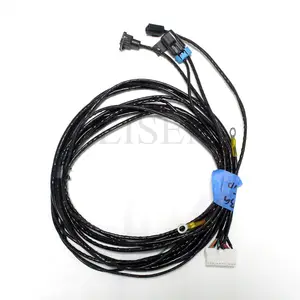 China Manufacture Tucked Engine Automotive Electronic W.P.D. Fuse Resistor Wire Harness For Honda