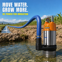 Pompe à eau submersible en acier inoxydable 550W 36V-72V DC, alimentée par batterie, pour l'irrigation, le drainage et le transfert d'eau pour les étangs agricoles