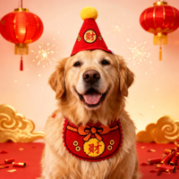 Ensemble de bavoirs et bandanas brodés pour animaux de compagnie, style chinois, pour le Nouvel An et le Festival du Printemps, costume de Noël pour chiens et chats