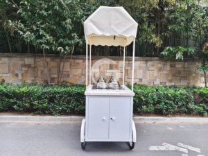 Carrito de Helados Comercial Blanco con Toldo y 4 Cubetas de Acero Inoxidable para Gelato - Product Image 3