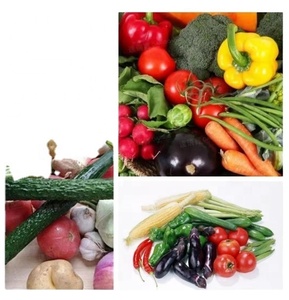 Meilleur prix industrie à haut rendement utiliser les légumes ail Machine à laver - Product Image 4