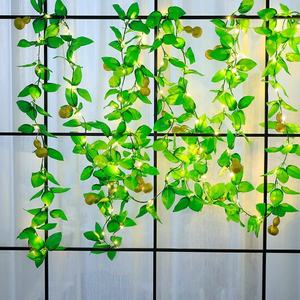 Lagenaria <span class=keywords><strong>Siceraria</strong></span> lampu dekorasi Natal, lampu peri Led tenaga surya 8 Mode tahan air 5m dekorasi tanaman rambat untuk rumah - Product Image 6