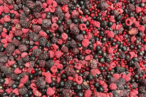 Frutos Rojos Mixtos Congelados IQF de Nueva Cosecha, Precio de Fábrica y Buena Calidad, Frutas Congeladas - Product Image 2