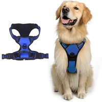 Collier et harnais pour chien de grande et moyenne taille, réglables, rembourrés, réfléchissants, luxueux/simple, en polyester, fournitures pour animaux de compagnie, vente en gros d'usine