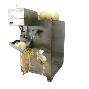 Elektrische Industriële Mango Fruit Oranje Automatische Schil-En Kernverwijderende Machine Appelschilmachine