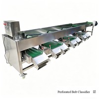 Citrus mango sorteermachine, industriële automatische rol sorteermachine voor fruit en groenten, roestvrij staal, hoge sterkte