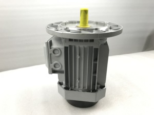 Motores Asíncronos Monofásicos de CA ML-801-4 0.55KW 0.75  1410RPM 220V con Doble Capacitor y Carcasa de Aluminio - Product Image 5