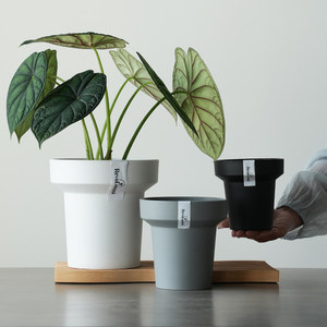 Maceta de Plástico Negra Estilo <span class=keywords><strong>H</strong></span>, Diseño Simple y Transpirable, para Uso en Escritorio del Hogar, Tamaño Pequeño para Plantas de Taro y Phalaenopsis - Product Image 1