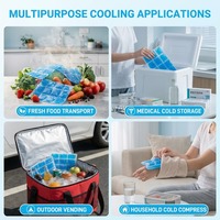 Packs de glace réutilisables en gel PE pour l'expédition – Packs froids compacts pour colis de médicaments, boîtes à lunch, petits glacières, refroidissement alimentaire