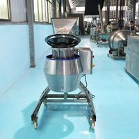 Grote 2000kg/uur gember- en aardappelversnipperaar/snijmachine