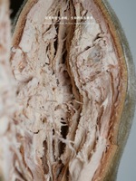 Poudre de pulpe de fruit de Baobab de qualité supérieure, poudre de Baobab naturelle de qualité alimentaire pour boisson santé, matière première