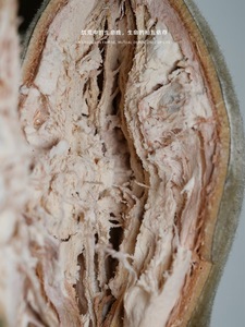 Poudre de pulpe de fruit de Baobab de qualité supérieure, poudre de Baobab naturelle de qualité alimentaire pour boisson santé, matière première - Product Image 4