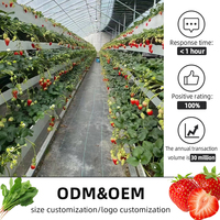 Système de culture rapide GrowSpec pour serre intérieure verticale hybride aéroponique hydroponique pour micro-légumes/légumes
