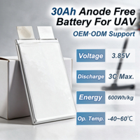 Batterie semi-solide sans anode 3,85 V 30 Ah à haute densité énergétique 500 Wh/kg 600 Wh/kg pour drone UAV, directement de l'usine