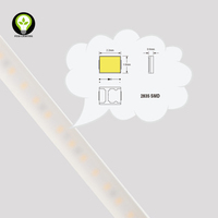 Bande lumineuse LED haute luminosité avec adhésif de haute qualité 2835 SMD RGBW solaire Eco Power LED bande lumineuse pour plafond