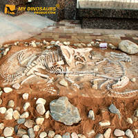 Réplique de fossile de dinosaure Protoceratops et Velociraptor