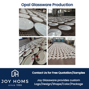 Assiettes en verre <span class=keywords><strong>opale</strong></span> de 10 pouces en gros – Vaisselle blanche en <span class=keywords><strong>opale</strong></span> pour pâtes, pizzas, desserts – Plats et assiettes blanches en verre trempé - Product Image 5
