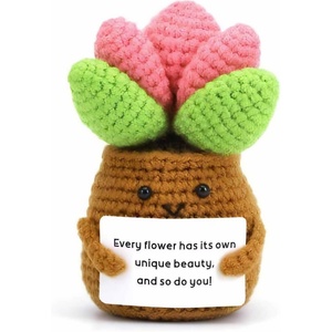 Pianta di Peluche all'Uncinetto per Supporto Emotivo, Succulenta all'Uncinetto con Biglietto di Messaggio Positivo per Decorazione Scrivania, Regalo di Compleanno, Regalo di Ringraziamento - Product Image 1