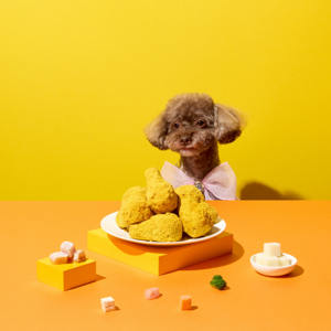 ขนมสัตว์เลี้ยงเกาหลี ออร์แกนิค อกไก่ ถั่วเต้าหู้ บรอกโคลี แครอท โปรตีนสูง แอนนี่.คอง แช่แข็ง โภชนาการสมดุล - Product Image 2