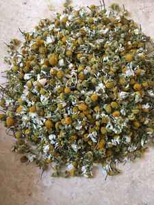 High Quality Chamomile <b>Flowers</b> Exclusive Export to Egypt Supervised Farm Production Raw & Processed <b>Single</b> Spices & Herbs - Product Image 5