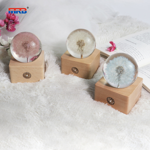 Cadeau de noël pissenlit 3D boule de cristal veilleuse batterie Base <span class=keywords><strong>en</strong></span> <span class=keywords><strong>bois</strong></span> Led lampe d'ambiance pour fleur résine <span class=keywords><strong>globe</strong></span> veilleuse - Product Image 5