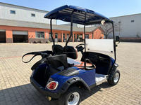 Mobil Golf Listrik 4 Roda 2 Kursi dengan Atap Kaca Depan, Buggy Bertenaga Baterai dengan Penyimpanan Belakang untuk Lapangan Resort