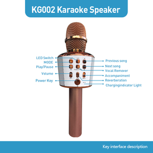 Delanda KG002 Xách Tay Thông Minh Karaoke Máy Nghe Nhạc Không Dây Microphone Cho Trẻ Em Người Lớn Cầm Tay Home Đảng Thiết Bị Với Loại C Kết Nối - Product Image 4