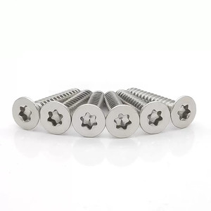 <span class=keywords><strong>Vis</strong></span> autotaraudeuse à tête fraisée en acier inoxydable M4 x 20mm 40mm M5 M6 <span class=keywords><strong>Vis</strong></span> Torx Inox <span class=keywords><strong>Vis</strong></span> à bois - Product Image 6