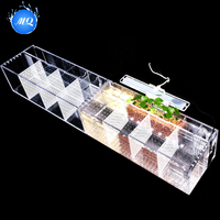 Moderne 220V Betta Fish Tank Petit Incubateur De Bureau En Acrylique Boîte D'isolation Sans Eau Écologique Aquarium En Plastique Élevage