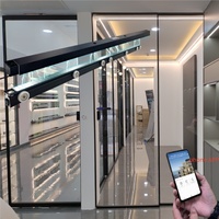 Puerta Automática de Alta Resistencia, Suave, Inteligente y Moderna para Hotel, Hospital, Banco, Vestíbulo, con Motor DC Maglev de 500 kg