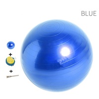 PVC Yuvarlak Yoga Egzersiz Topu, Pompa ile, Özelleştirilmiş Renk ve Boyutlar 45/55/65/75cm 800g, Özel Logo, OEM Mevcut