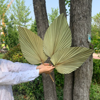 Ventilateur de tournesol en feuille de palmier naturel multi-forme de haute qualité du Yunnan pour la décoration de la maison le jour de la Saint-Valentin nouvel an ou Pâques