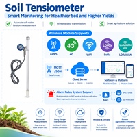 Honde Mètre de détection de paramètres du sol à haute sensibilité et faible erreur, Capteur de tension du sol