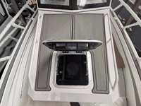 Bateau de pêche de luxe de 9m, cabine centrale en Aluminium, yacht avec promenade à vendre