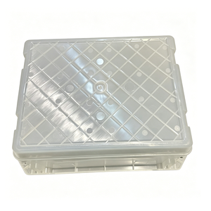 Bac de manutention en plastique moulé par injection HDPE PP personnalisé pour le Vietnam, idéal pour la logistique, la transformation alimentaire, l'agriculture et les produits de la mer - Product Image 2
