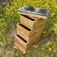 Typischer Wachs beschichteter hölzerner Langstroth-Bienenstock für die Bienenzucht