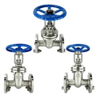 Vanne à opercule à double bride à joint rigide en acier inoxydable CF8 DN150 PN16 pour le service pétrole et gaz