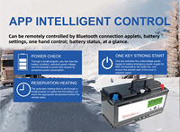 Batterie de démarrage automobile LiFePO4 OEM 12V 110Ah H9/LN6-L 1408Wh 1200CCA avec BMS intelligent, application BT, GPS et démarrage d'urgence pour voiture et camion