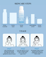 Brume faciale à la vitamine C et à l'acide hyaluronique, spray fin, apaisant, hydratant, illuminateur, spray pour le visage OEM