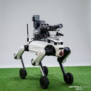<span class=keywords><strong>Robot</strong></span> chien électronique quadrupède IA <span class=keywords><strong>Android</strong></span> 12, étanche IP67, écran OLED, télécommande, commande vocale - Product Image 3