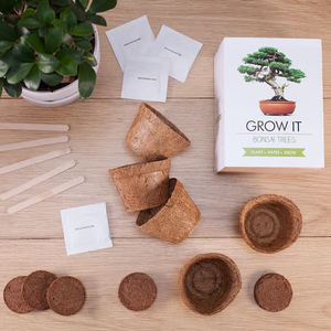 Kit de inicio de jardín interior de estilo rural, casa de árbol de bonsái DIY, macetas para cultivo de plantas, maceta, maceta para vivero, escritorio embalado en cartón - Product Image 3