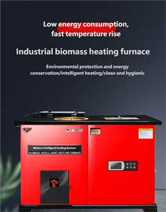 Chimeneas de <span class=keywords><strong>Pellets</strong></span> de Acero para Biomasa con Fuego Real, de Última Generación, Independientes, para Uso en Villas y Hoteles, Ecológicas, para Radiador y Suelo - Product Image 2