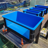 Bassin d'élevage de koïs moderne et écologique en fibre de verre avec contrôle intelligent, pour l'intérieur, l'extérieur, le patio et la vie quotidienne
