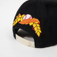 Casquette de baseball noire structurée à 5 panneaux en sergé premium pour événements sportifs et clubs – Vente en gros