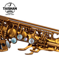 Saxophone alto finition laquée or champagne, modèle professionnel, corps en laiton réglable, tonalité Eb, Taishan TSAS-T6X