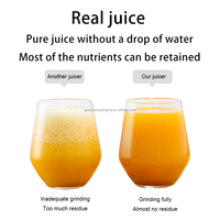 750 Commerciële Desktop Sapcentrifuge voor zachte, sappige vruchten, wortelen, slowjuicer met kernmotor voor gebruik in juicebars